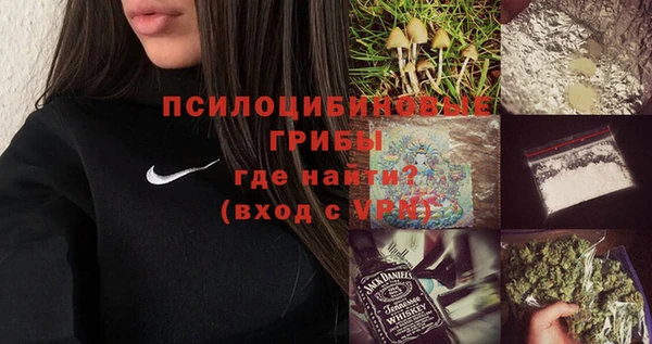 spice Белокуриха
